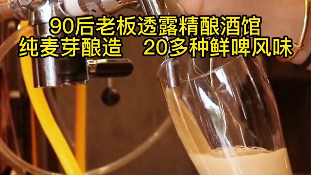 动力时代精酿啤酒,纯麦芽酿造,多种口味#精酿啤酒