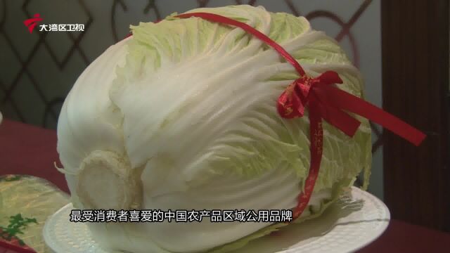 胶州大白菜全国招商采购会广州站成功举办