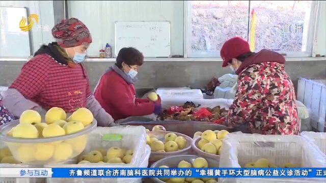 这家生态农场忙不停,普通农货变爆款网货,助力农业增效农民增收