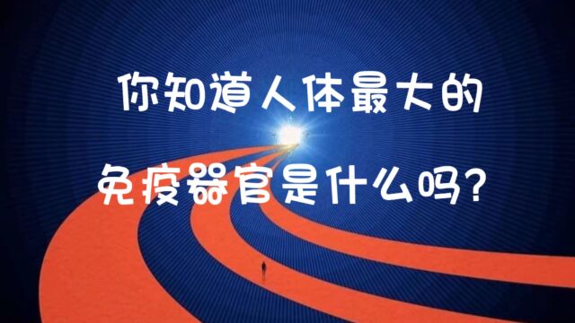 你知道人体最大的免疫器官是什么吗?