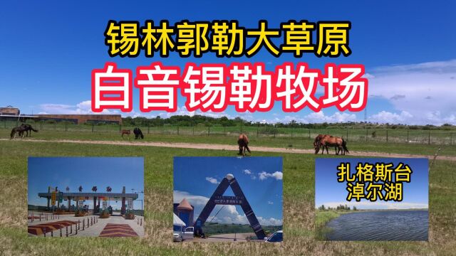 锡林郭勒大草原核心区:白音锡勒牧场