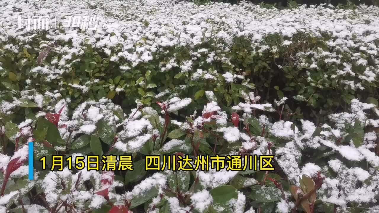 30秒 | 城市一夜“白了头” 达州主城区下起罕见大雪