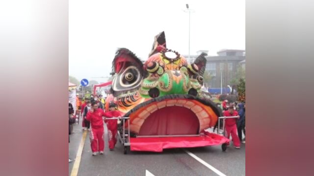 吉尼斯“狮王”西樵出山!西樵迎春花市热闹开市