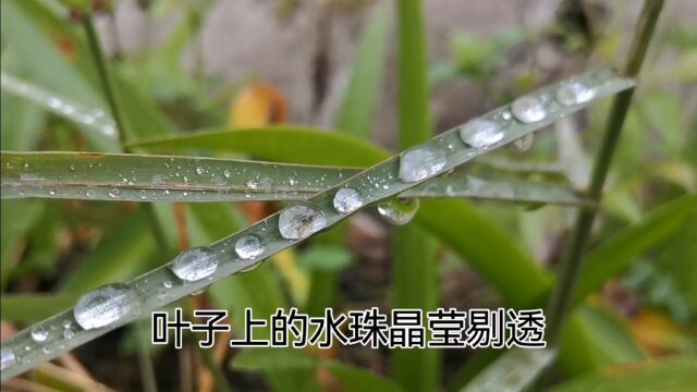 下雨的时候会想你