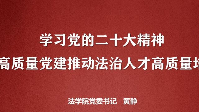 学习党的二十大精神 以高质量党建推动法治人才高质量培养—黄静