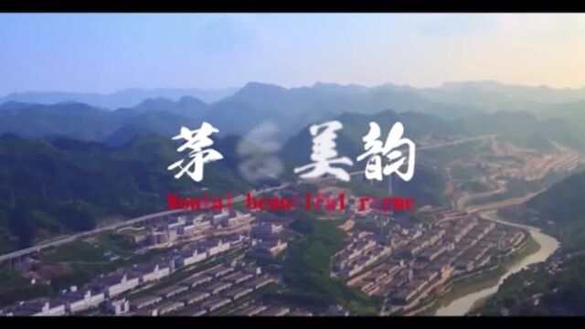 茅台tvc