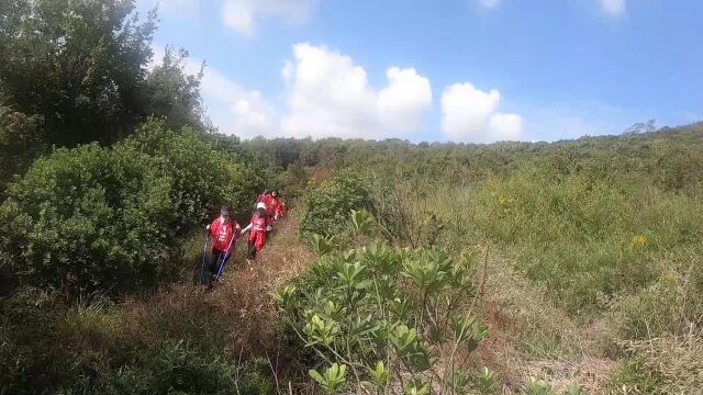 上海周末好去处千年古道健身锻炼 乌龙金山1 上海快乐徒步爬山户外