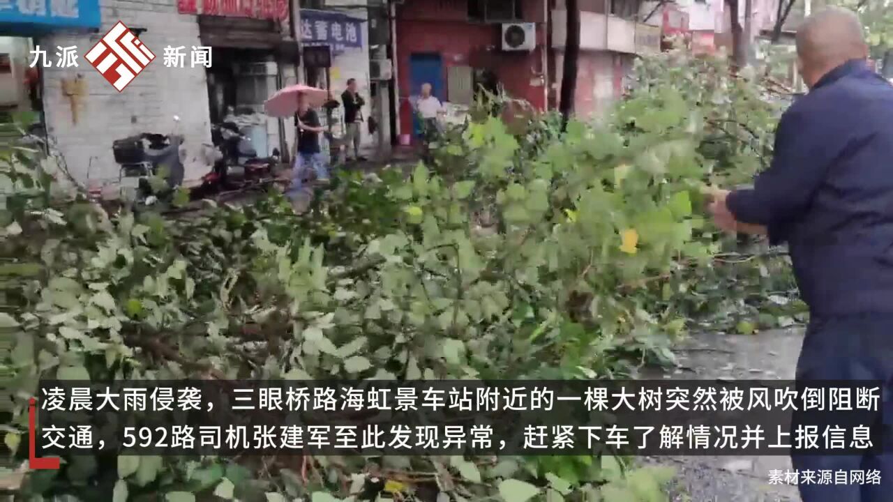 大树被风吹倒阻断交通,雨中他们忙活1小时排障,网友:他们是最可爱的人