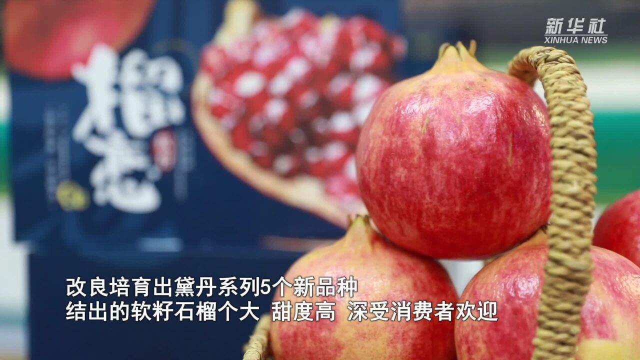 山东淄博:促进地方特色农业产业提档升级