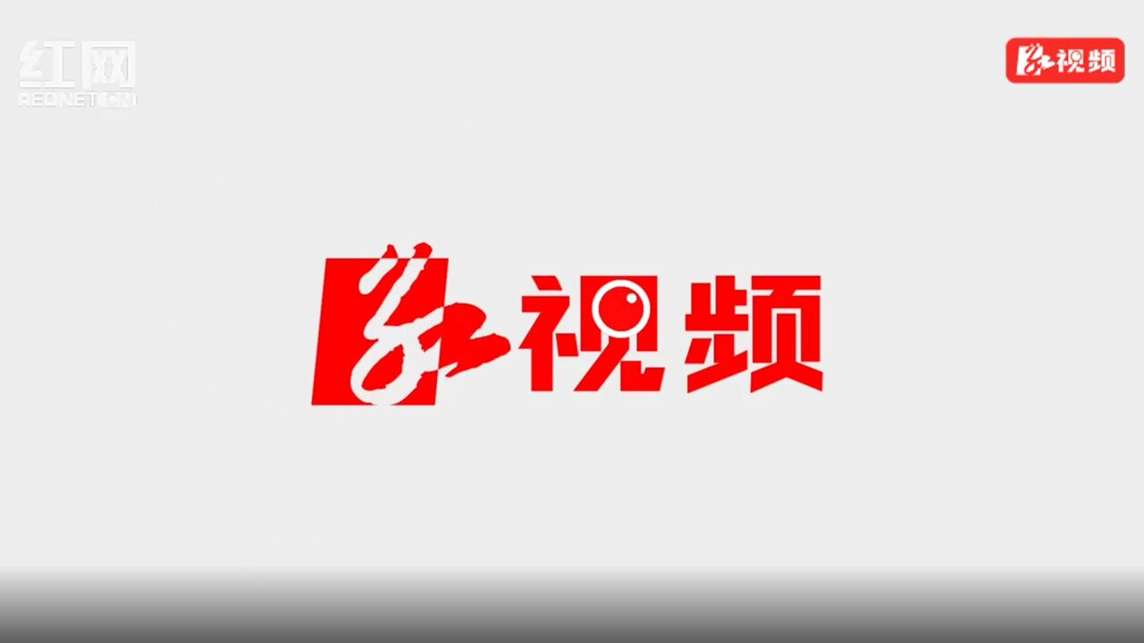 新春上班第一天丨省人大代表赖晓智:抓项目访人才 以实干建设青春渌口