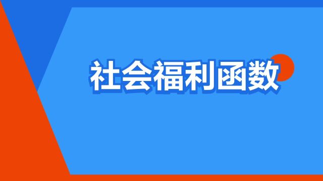 “社会福利函数”是什么意思?