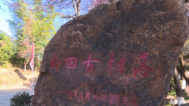 连城培田古民居:游人闻香寻梅 漫游古村