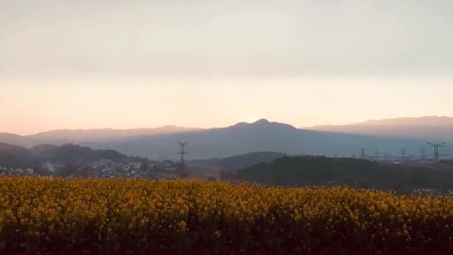 半城青山,满城阳光!临沧春天从未离开.奋斗,从春天开始.