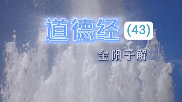 金阳子解《道德经》四十三 刚柔相济 道元论坛 弘扬大道 丹道修行 实修实证 悟道