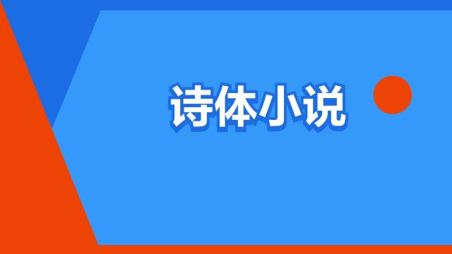 “诗体小说”是什么意思?