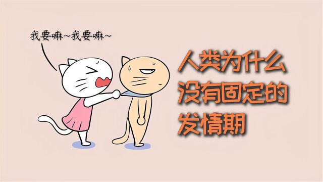 动物存在固定的发情期,人类为什么,一年365天都在发情?