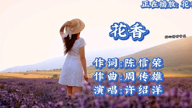 薰衣草主题曲《花香》,这首歌你多久没听了呢