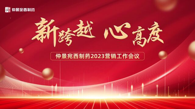 2023年仲景宛西制药营销会议