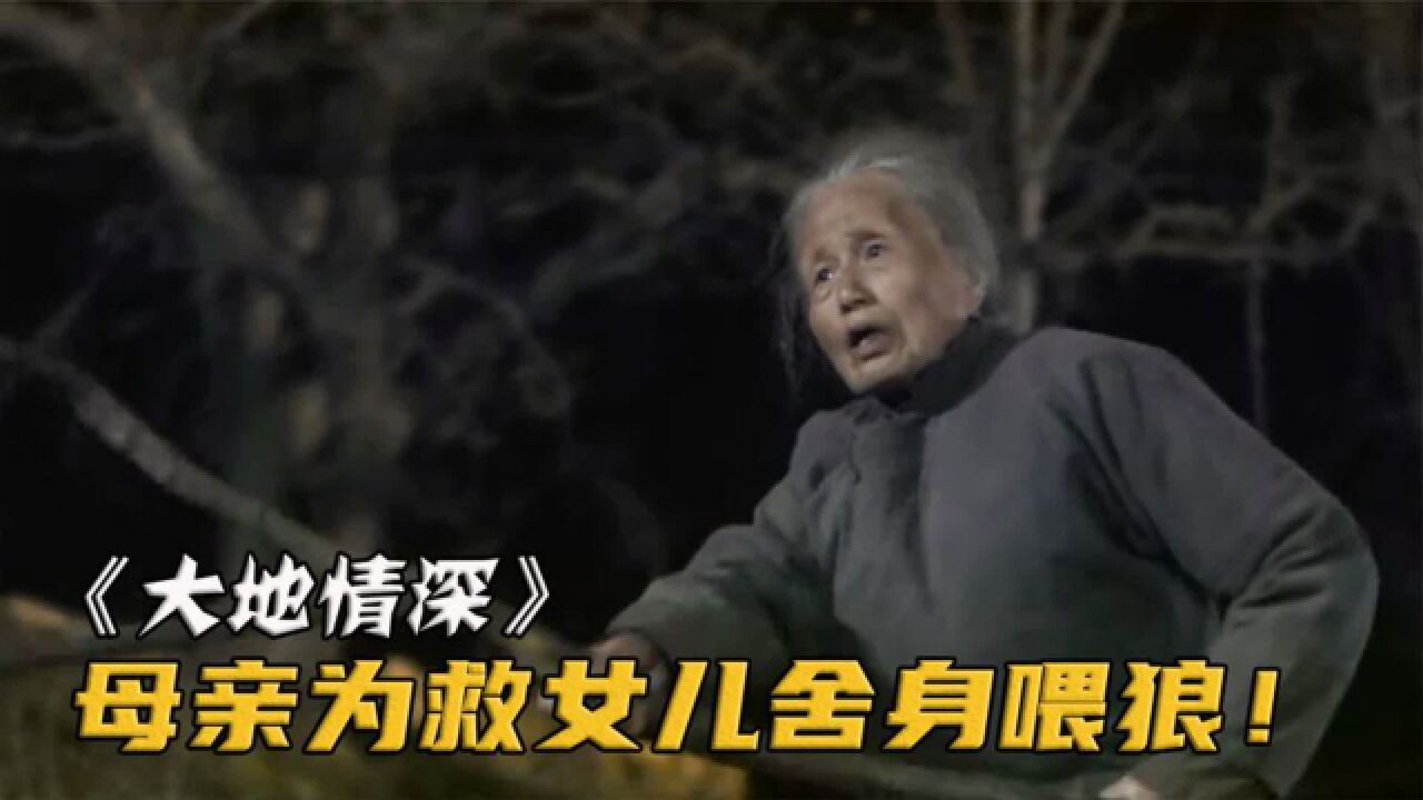 《大地情深》80岁老太为保护女儿,竟咬破手臂吸引狼的注意