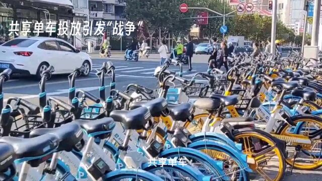 共享单车投放:利与弊的权衡