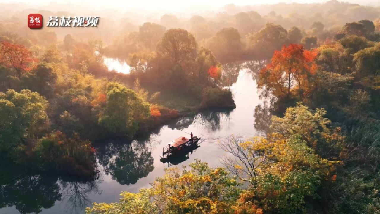 西溪湿地的秋天有多美!秋日西溪湿地帧帧似油画