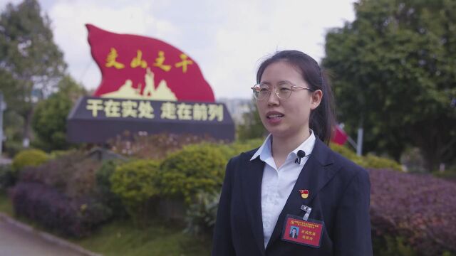 麻栗坡县分公司谈感受