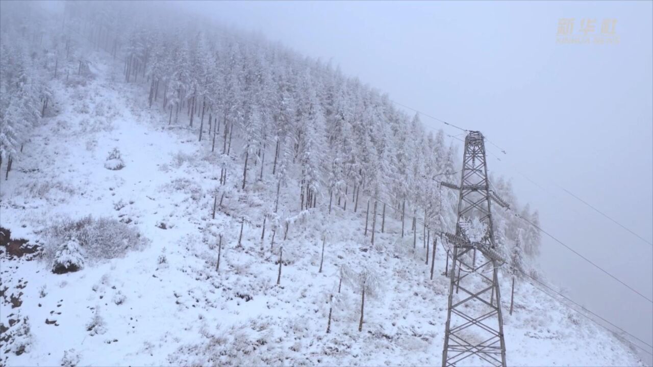 宁夏固原:电力人雪中巡线保供电