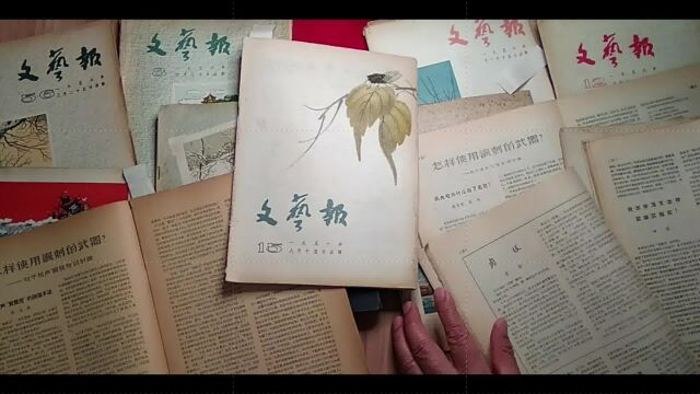 1956年《文艺报》老舍“闲聊”之二 庄稼歉收写作没时间种菊花因墙倒雨水多也损失