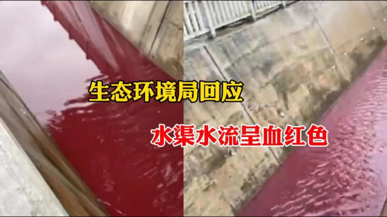 生态环境局回应水渠水流呈血红色:暂未发现 视频存疑已报警