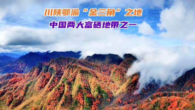 川陕鄂渝“金三角”之地.中国两大富硒地带之一