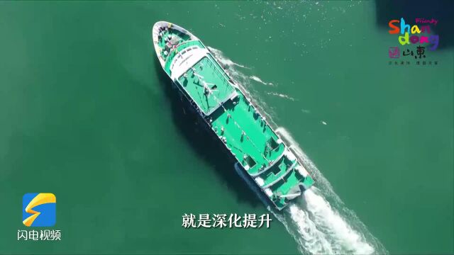 闪电解码丨文旅提质赋能 山东瞄准“十大行动”