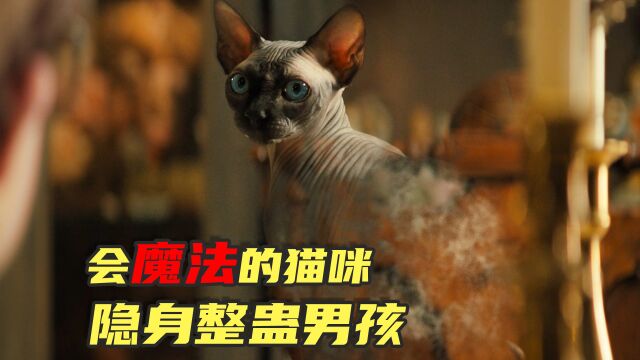 女巫的猫咪会魔法,专门隐身去整蛊男孩《夜读惊魂》