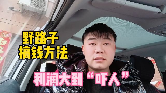 揭秘野路子搞钱方法