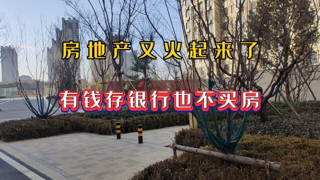 房地产又火起来了吗?网友表示有钱存银行也不买房