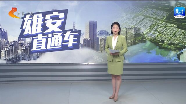 雄安新区安新县:春风送岗位 就业暖民心