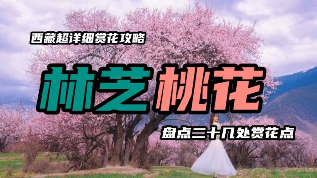 盘点西藏林芝桃花25个桃花观赏点,你知道哪个?