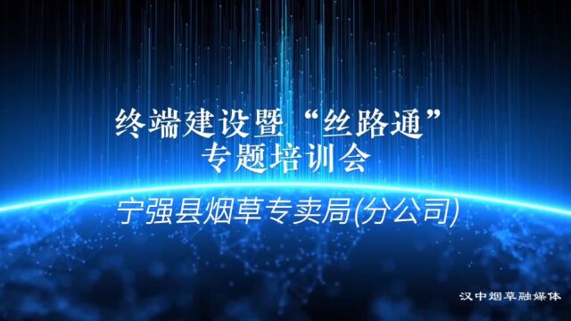 宁强县局(分公司)开展终端建设暨“丝路通”专题培训会