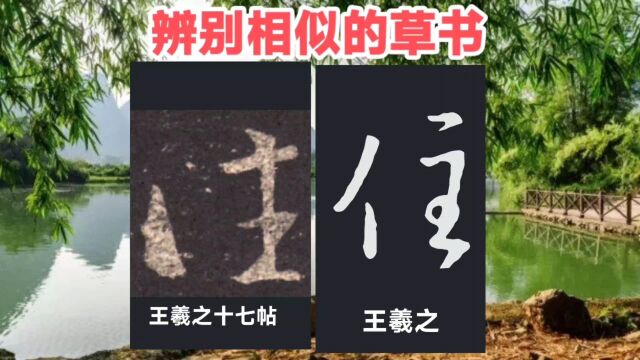 学草书(69):学习草书,选择字帖很重要,一诺终身,矢志不移