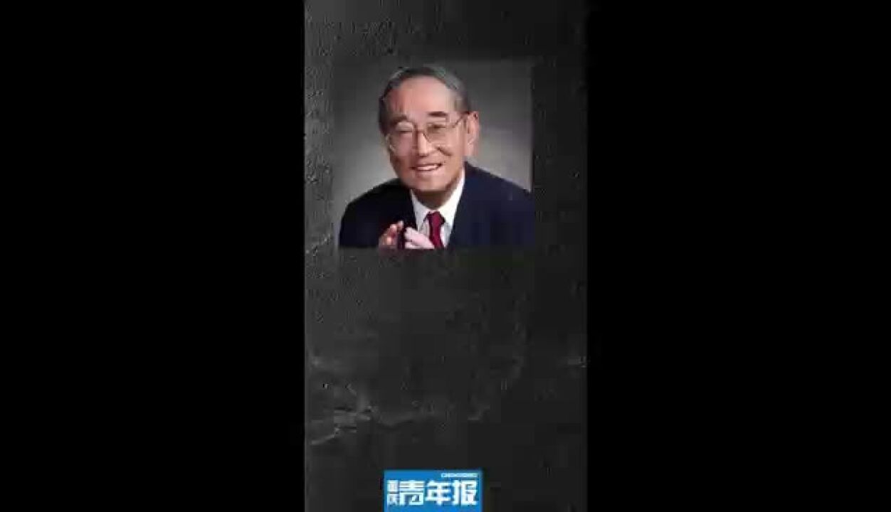 论证倡导中国股份制改革的经济学家厉以宁去世