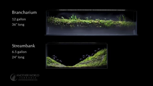 热带雨林骨架制作(假树制作)