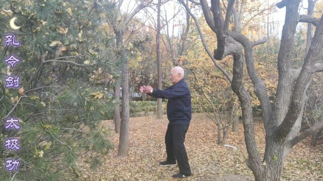 孔令剑太极功 无极桩 浑圆桩与太极拳