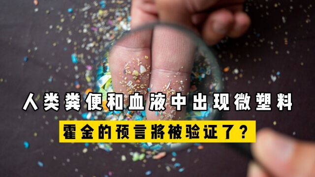 塑料微粒出现在人类粪便和血液中,难道霍金的预言,将被验证了?