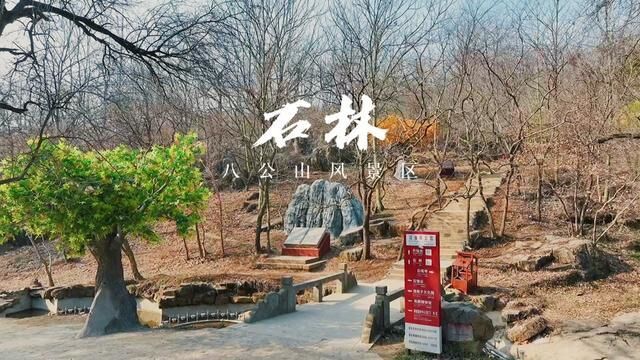 安徽省淮南市,八公山石林春景