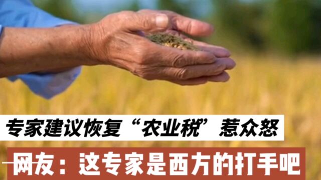 专家建议恢复“农业税”惹众怒!网友:这专家是西方的打手吧?