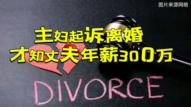 主妇起诉离婚才知丈夫年薪300万