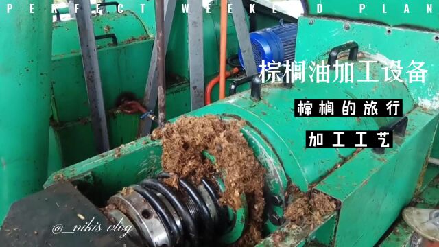 棕榈油怎么提炼的?棕榈油加工设备生产厂家带你了解榨油全过程