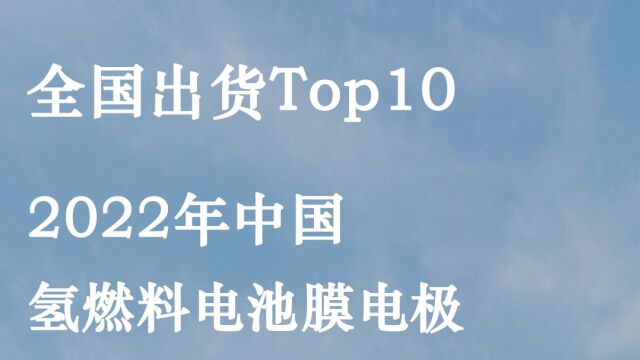 2022年中国氢燃料电池膜电极出货TOP10