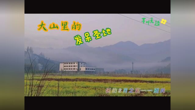 大山里的发呆胜地——我的2月之旅,韶关.#自驾游#真实户外记录