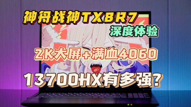 神舟战神TX8R7深度体验:2K大屏+满血4060,13700HX有多强?