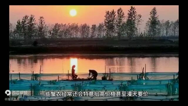 螃蟹养殖户全军覆没,大闸蟹市场暴跌!水产遭遇了什么?